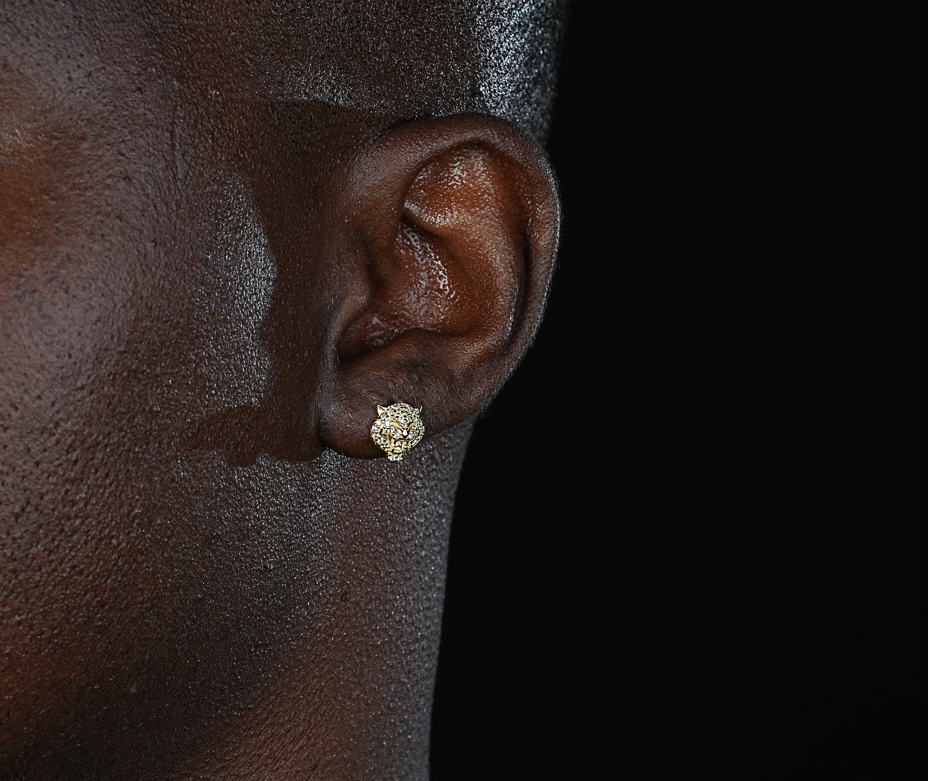 Shining Star Jewelry Mens Exquisite Sterling Silver Zircon Tiger Stud Earrings Shining Star Jewelry Mens Exquisite Sterling Silver Zircon Tiger Stud Earrings