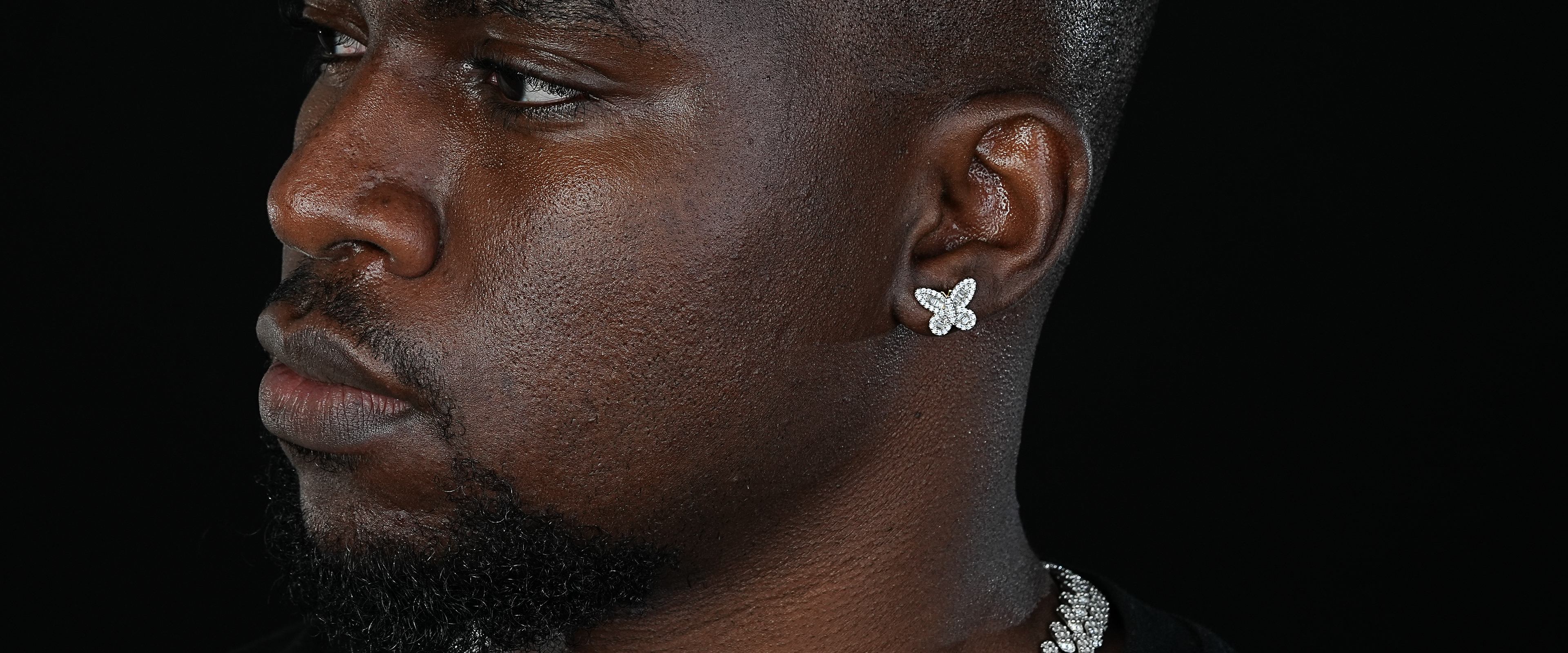 Shining Star Jewelry Silver Iced Out Zircon Bling Bling Butterfly Stud Earrings