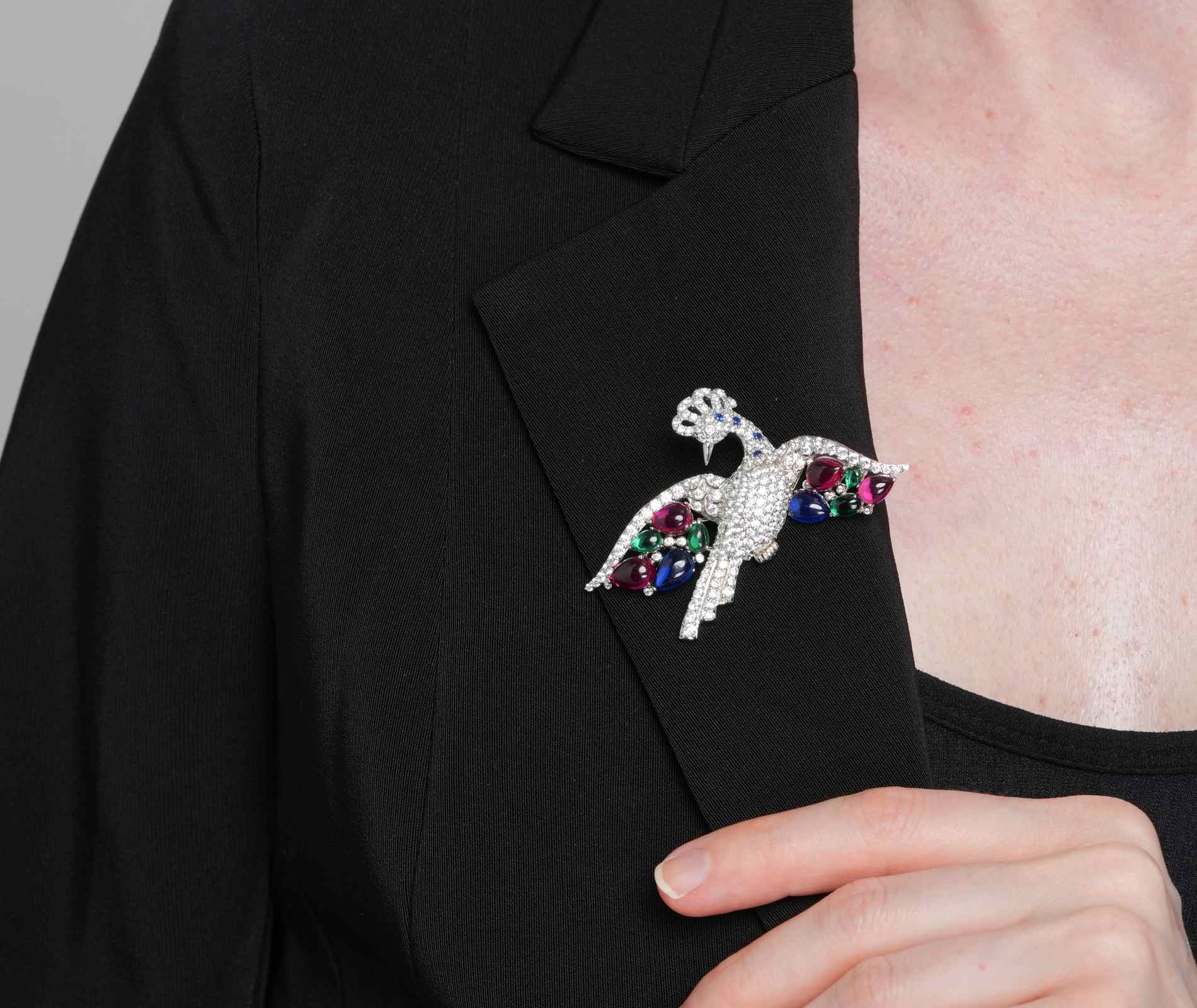 Shining Star Jewelry Women's 925 Silver Coloured Gemstone Zircon Bird Brooch Shining Star Jewelry Women's 925 Silver Coloured Gemstone Zircon Bird Brooch