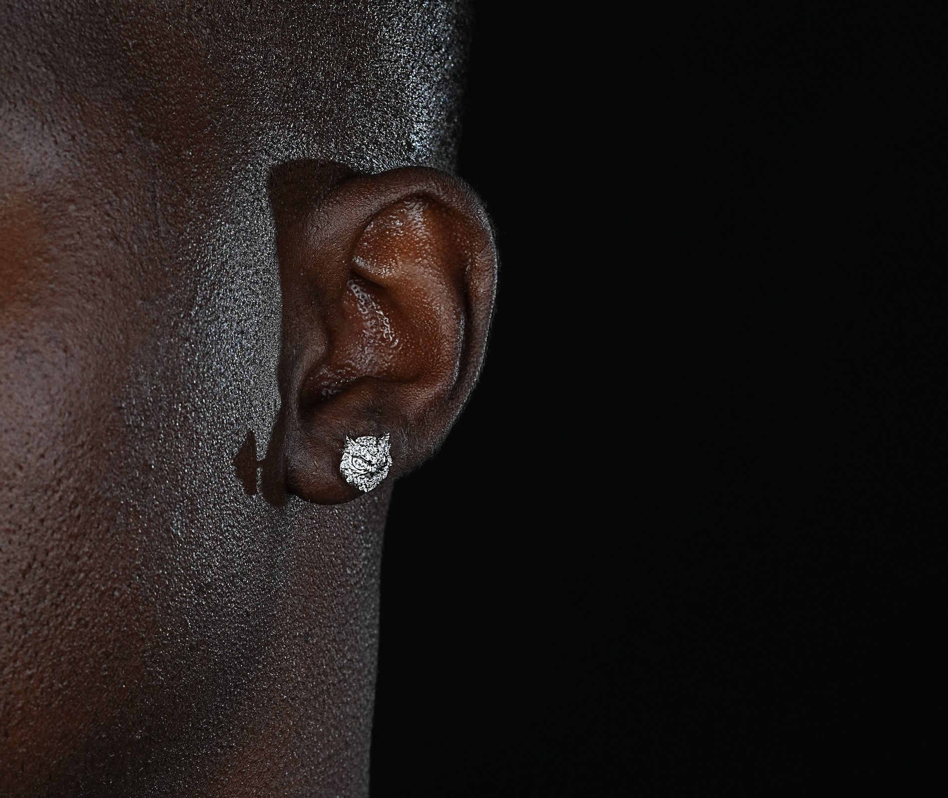 Shining Star Jewelry Hiphop Men High Quality Moissanite Animal owl Stud Earrings