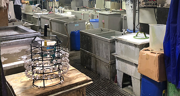 Hip-Hop Jewelry Brand ODM/OEM Comprehensive Solutions