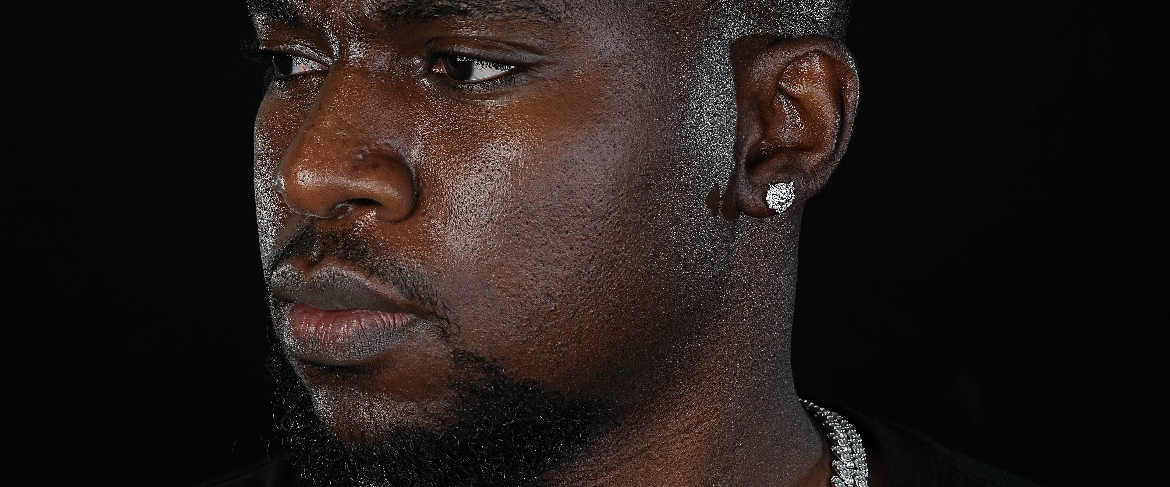 Shining Star Jewelry Hiphop Men High Quality Moissanite Animal owl Stud Earrings