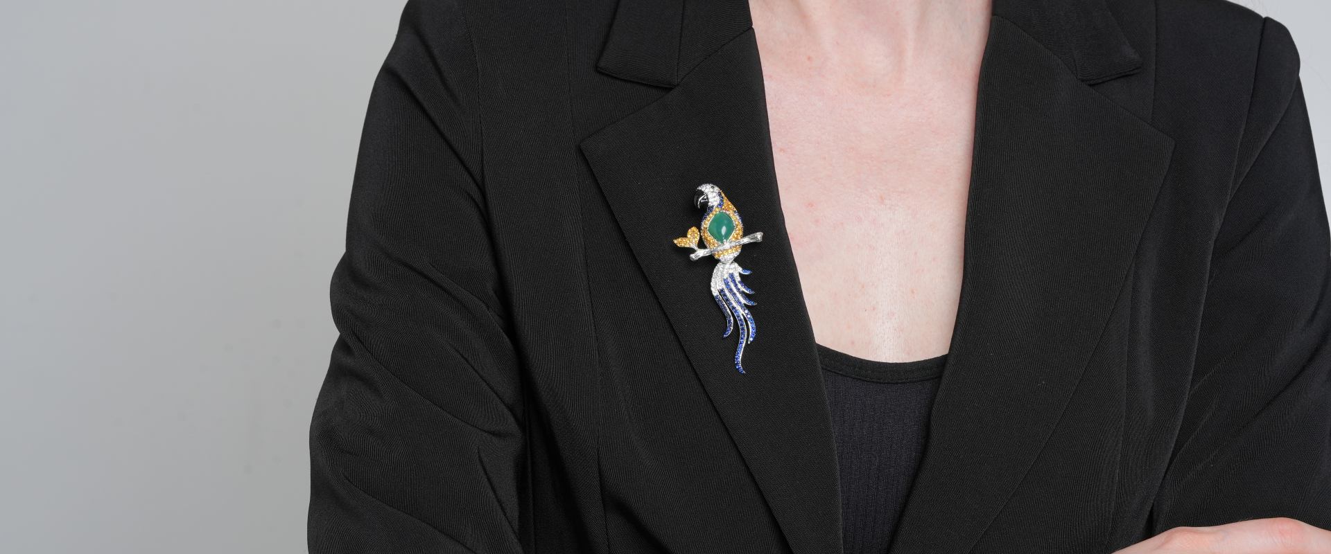 Shining Star Jewelry Women's Luxury 925 Silver Colored Zircon Bird Parrot Brooch