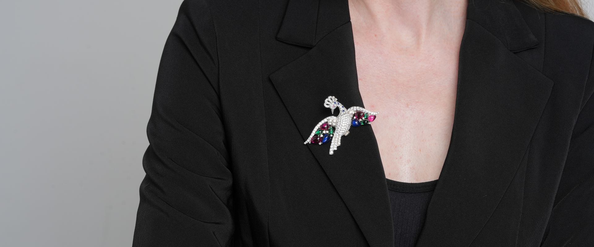 Shining Star Jewelry Women's 925 Silver Coloured Gemstone Zircon Bird Brooch Shining Star Jewelry Women's 925 Silver Coloured Gemstone Zircon Bird Brooch