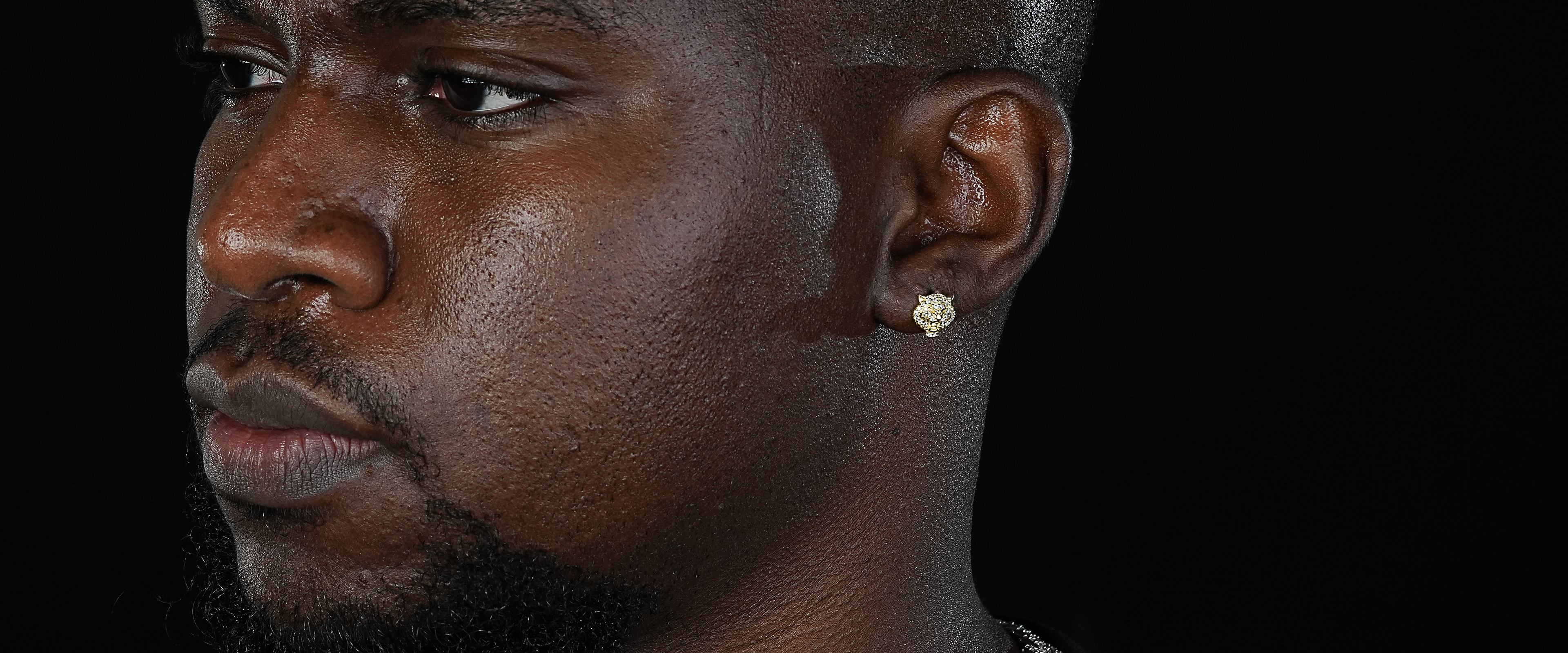 Shining Star Jewelry Mens Exquisite Sterling Silver Zircon Tiger Stud Earrings Shining Star Jewelry Mens Exquisite Sterling Silver Zircon Tiger Stud Earrings