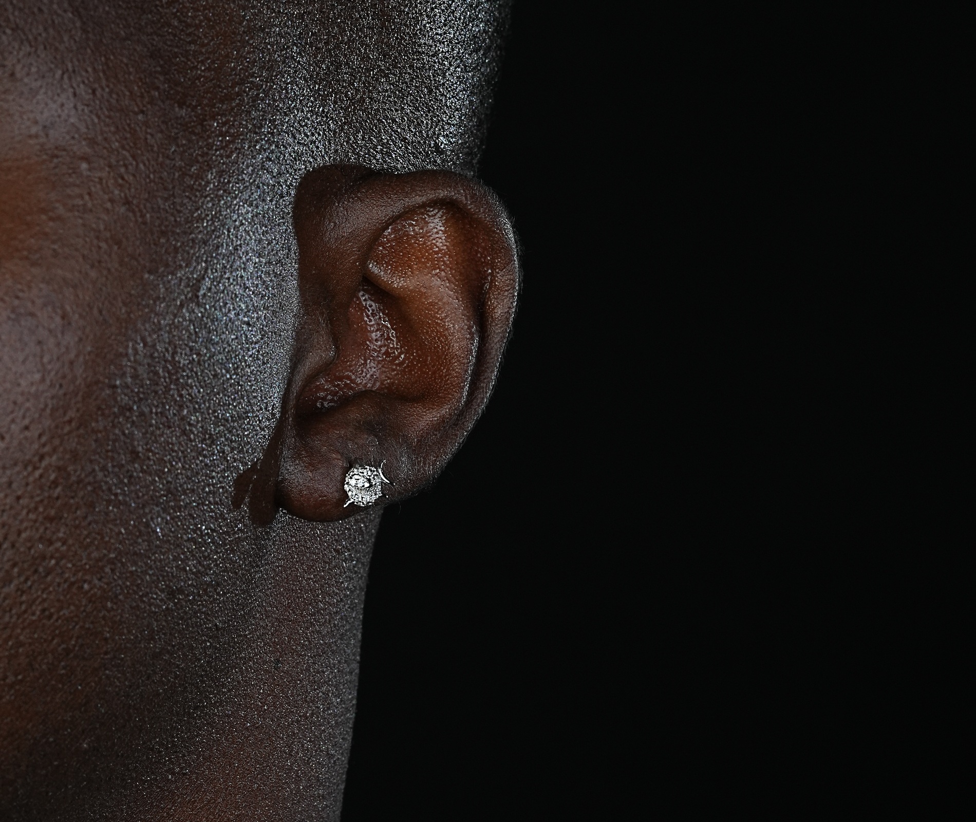 Shining Star Jewelry New Arrival Hip Hop Mens VVS Moissanite Shark Stud Earrings