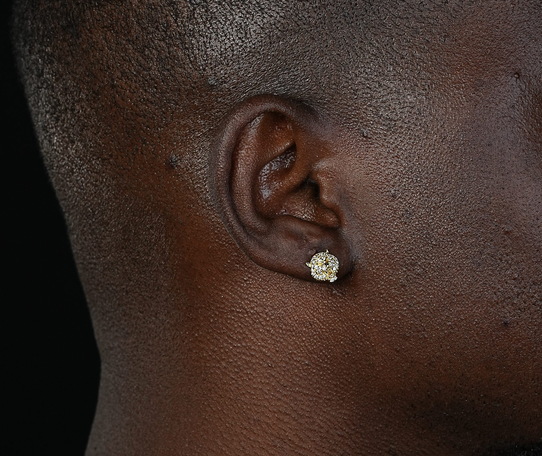 Shining Star Jewelry Mens Exquisite Sterling Silver Zircon Tiger Stud Earrings Shining Star Jewelry Mens Exquisite Sterling Silver Zircon Tiger Stud Earrings